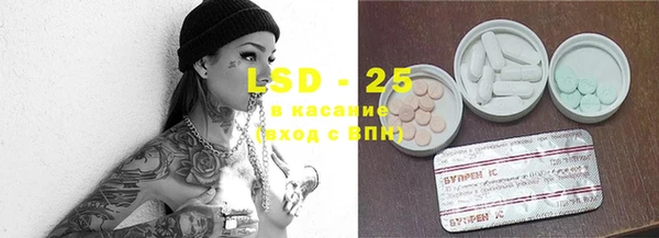 прущие грибы Нязепетровск