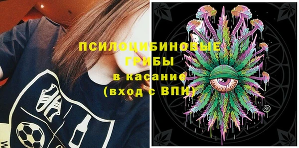 прущие грибы Нязепетровск