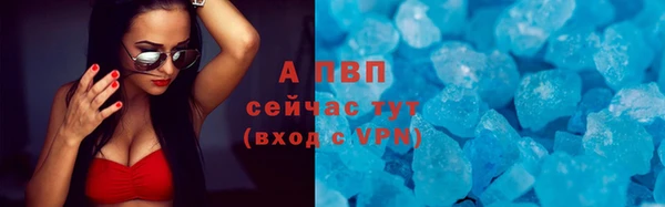 прущие грибы Нязепетровск