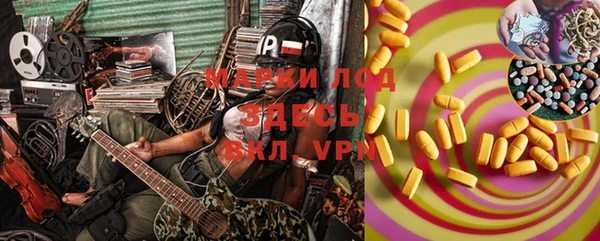 прущие грибы Нязепетровск
