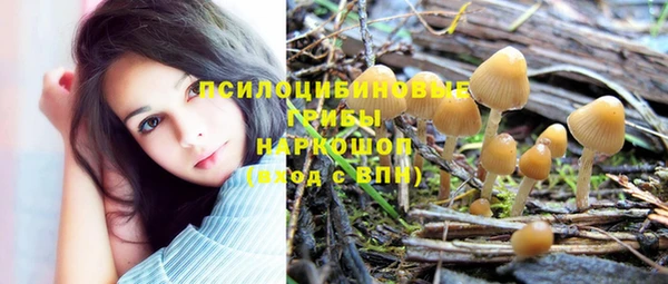 прущие грибы Нязепетровск
