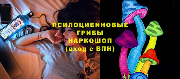 прущие грибы Нязепетровск