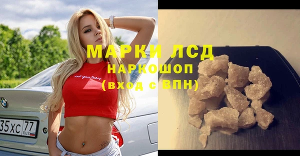 прущие грибы Нязепетровск